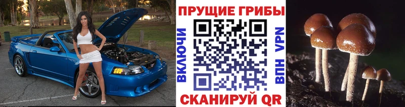 Псилоцибиновые грибы мухоморы  Белинский 